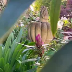 Frühstückspension Cote Jardin 3*