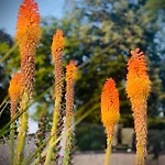 Cote Jardin Frühstückspension