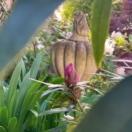 فندق مبيت وإفطار Cote Jardin *