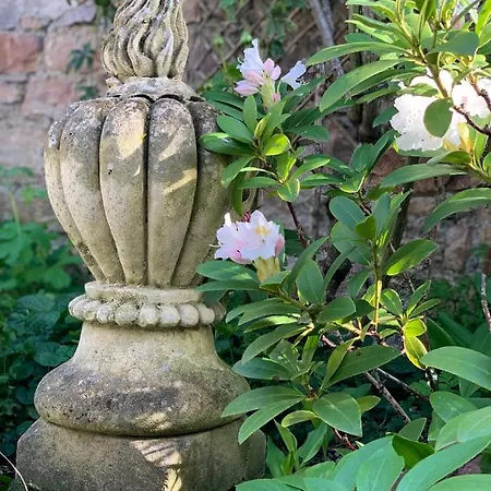 לינה וארוחת בוקר Cote Jardin 3*