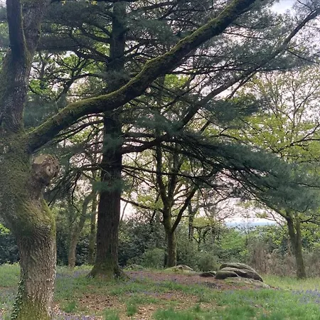 Coté Jardin