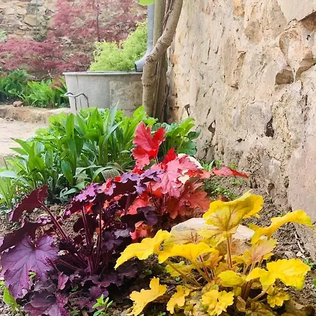 לינה וארוחת בוקר Cote Jardin 3*