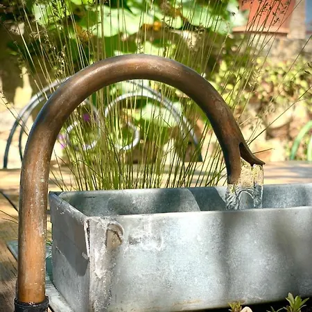 Cote Jardin לינה וארוחת בוקר Sainte-Suzanne (Mayenne)