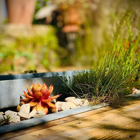 Cote Jardin 3* Sainte-Suzanne (Mayenne)