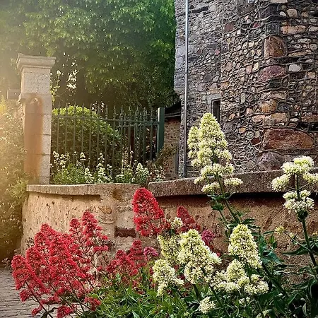 לינה וארוחת בוקר Cote Jardin 3*