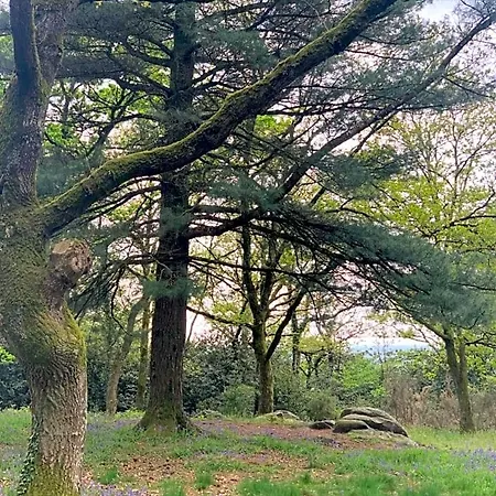 Alojamento de Acomodação e Pequeno-almoço Cote Jardin Sainte-Suzanne (Mayenne)
