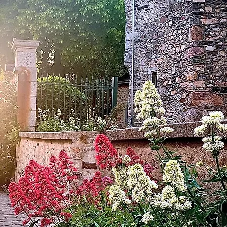 Alojamento de Acomodação e Pequeno-almoço Cote Jardin Sainte-Suzanne (Mayenne)