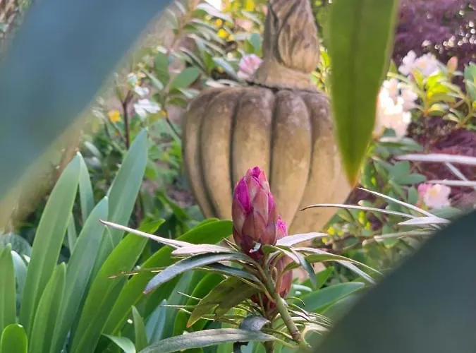 Bed & Breakfast Cote Jardin 3*