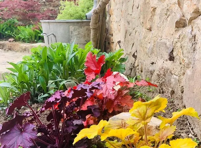 Bed & Breakfast Cote Jardin 3*