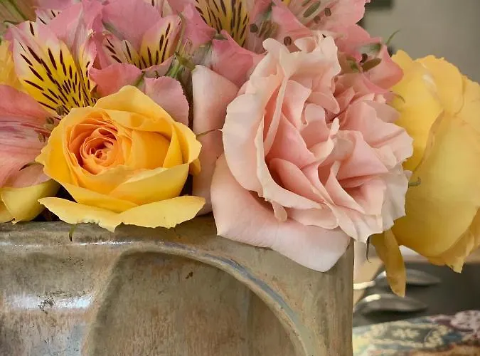 Bed & Breakfast Cote Jardin 3*