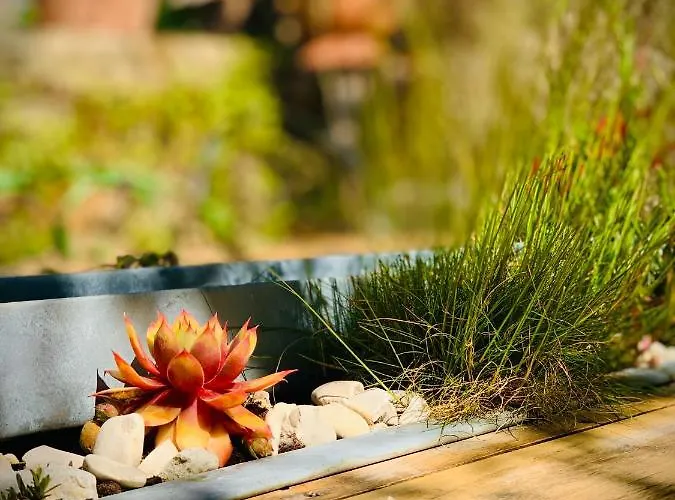 Cote Jardin 3* Sainte-Suzanne (Mayenne)