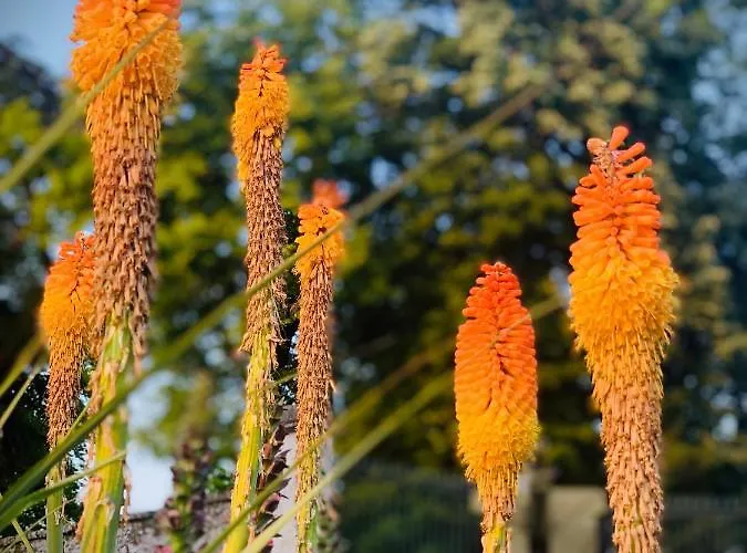 Cote Jardin Bed & Breakfast